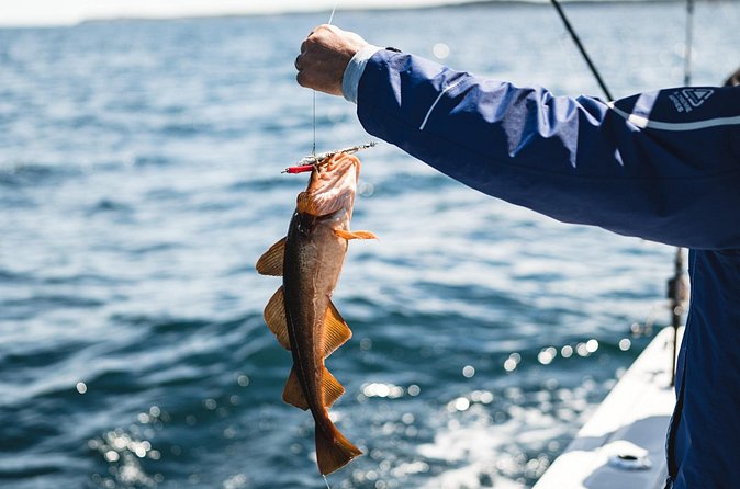 2 Hour Fishing Experience in Halifax - Choppy water and seasickness: the one real drawback to plan for