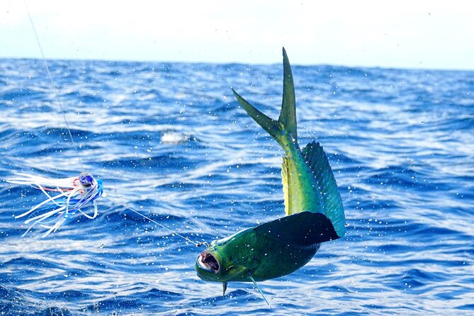 3/4 Day 7 Hour Offshore Fishing Charter - What to expect at the main stops (and what the trade-offs are)