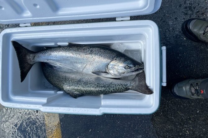 3 Hour Fishing Experience/Class in Juneau - How the 3 Hours Usually Work: Instruction, Then Casting for Salmon