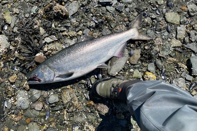 3 Hour Fishing Experience/Class in Juneau - Guide Quality: Why Jake, Jakob, Gabe, Nick, and Others Get Mentioned So Often