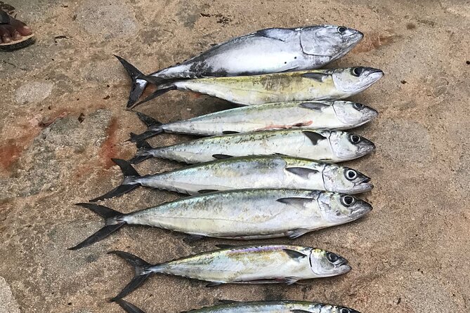 3-Hour Fishing Trip in Waikiki - Quick highlights you’ll care about