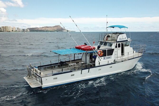 3-Hour Honolulu Bottom Fishing Adventure - Kewalo Basin Harbor check-in: how to get set up quickly