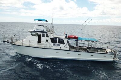 3-Hour Honolulu Bottom Fishing Adventure - Bottom Fishing in Honolulu: what you’re actually doing out there