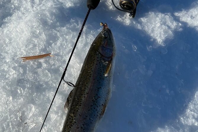 3 Hour Ice Fishing Experience - How your 3 hours on the ice actually unfold
