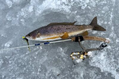 3 Hour Ice Fishing Experience - Gear, heated hut, and staying sane in the cold