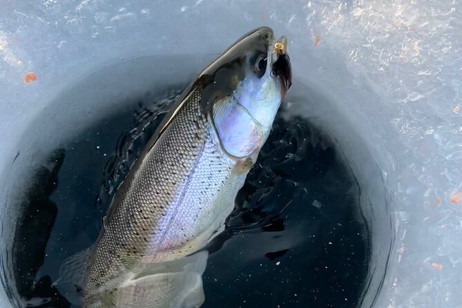 3 Hour Ice Fishing Experience - Catch and release, with a cook option you’ll appreciate