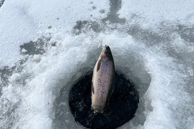 3 Hour Ice Fishing Experience - What to ask your guide in the hut