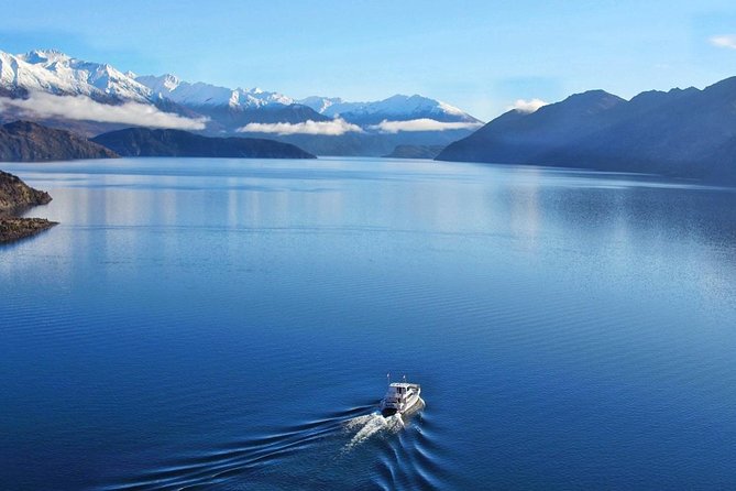 3 Hour in Wanaka Fishing Charters - Wildlife, Birds, and the Real Meaning of Being Outside