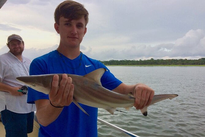 3 Hour Inshore Shark Fishing Trip in Hilton Head Island - Wildlife bonus on Broad Creek and Calibogue Sound