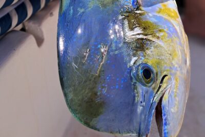 4 Hour Costa Maya Fishing and Snorkeling Experience - The Boat Setup: Why A 25ft Panga Changes Everything