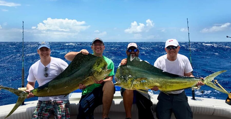 4 hour deep sea fishing experience from punta cana - Key Highlights You’ll Care About