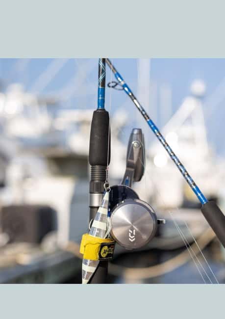 4 hour deep sea fishing experience from punta cana - Weather Can Change the Plan: How to Stay Flexible