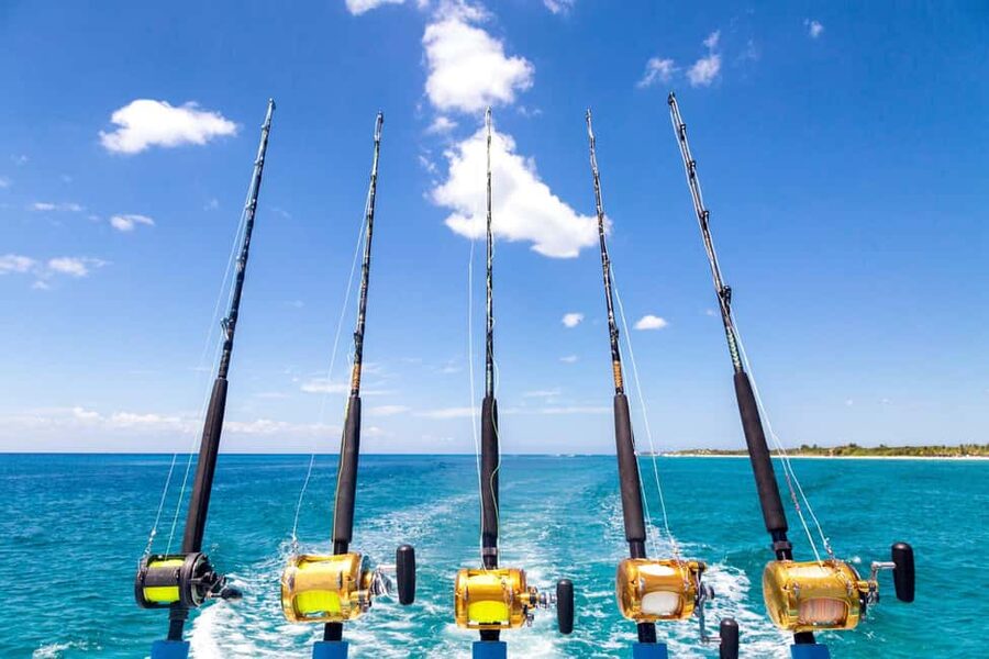 4 hour deep sea fishing experience from punta cana - Caribbean Trolling Off Punta Cana: What You’re Really Signing Up For