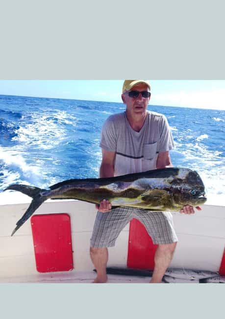 4 hour deep sea fishing experience from punta cana - The 4-Hour Run: How Trolling Works and When the Fighting Starts