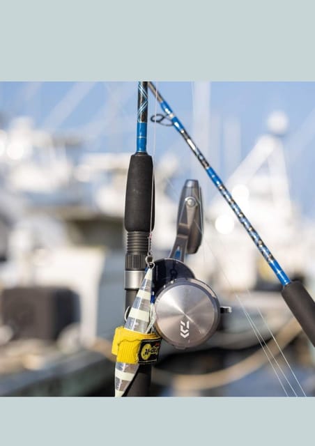 4 hour deep sea fishing experience from punta cana - Getting Your Catch: Plan for Take-Home Fish Up Front