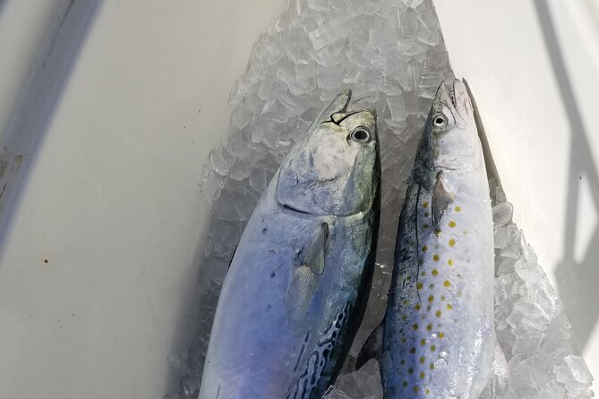 4-hour Fishing Adventure at Belleair Causeway - Price and Value: Paying for Gear + Expertise (and Less Hassle)