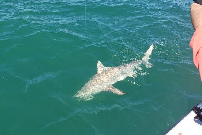 4-hour Fishing Adventure at Belleair Causeway - Weather Matters: Plan for a Flexible Day