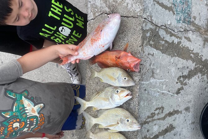 4-Hour Fishing Charter in Nassau - Key Things I’d Put on Your Radar