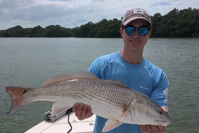 4-Hour Private Inshore Fishing Trip in Sarasota - Hands-On Gear and Tackle: Show Up Ready to Fish
