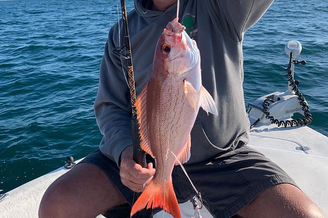4-Hour Private Near-Shore Fishing Charter from Orange Beach - Fishing in Sight of Orange Beach: The Real Meaning of Near-Shore