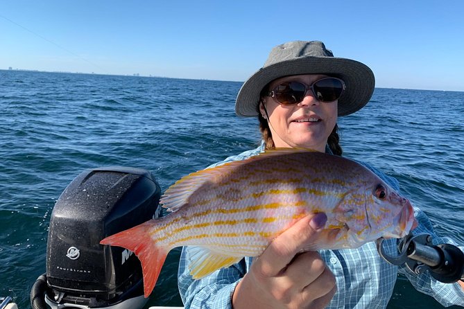 4-Hour Private Near-Shore Fishing Charter from Orange Beach - What You’re Really Paying For: Licenses, Fuel, Bait, and Cleaning