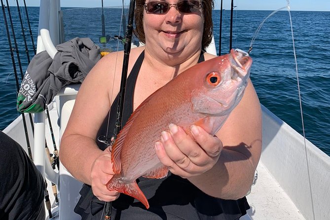 4-Hour Private Near-Shore Fishing Charter from Orange Beach - Wildlife and the Fish Bite Window: What to Watch For