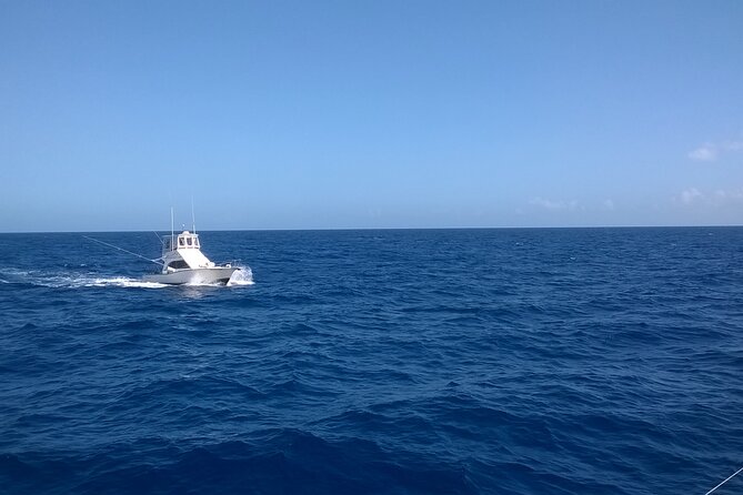4 Hour Punta Cana Fishing Tour - A Real Deep-Sea Day Off Punta Cana’s Coast