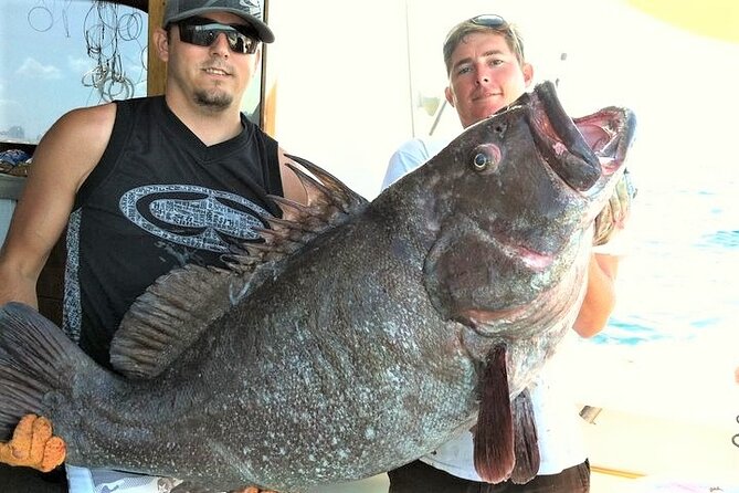 4-Hour Shared Big Game Deep Sea Fishing Charter in Fort Lauderdale - Stop by stop: New River, beaches, the Intracoastal waterway, and Port Everglades
