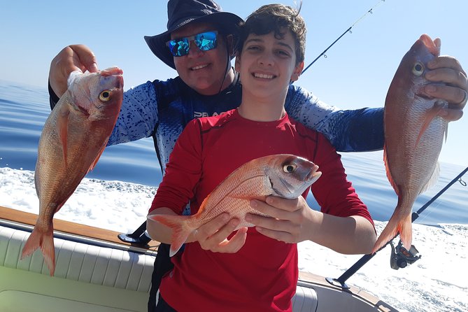 4 Hours Bottom Fishing Day by boat from Marbella - From Nueva Andalucía to the Costa del Sol: The Ride That Sets the Tone