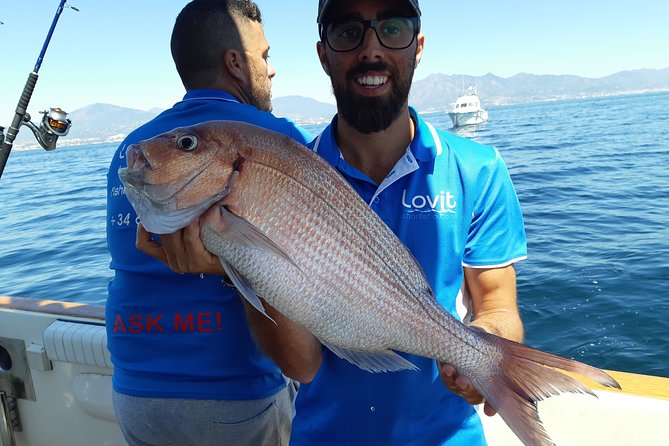 4 Hours Bottom Fishing Day by boat from Marbella - Snacks, Drinks, and the Choice With Your Catch