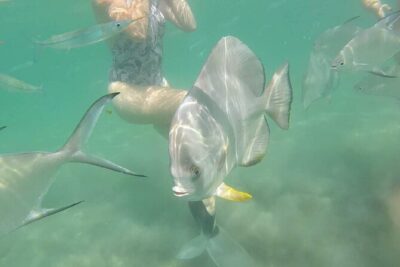 4H Snorkeling and Fishing Cruise on Magnetic Island - Fishing aboard: tackle is included, and the crew helps you land it