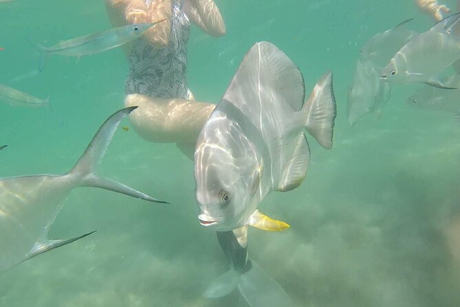 4H Snorkeling and Fishing Cruise on Magnetic Island - Fishing aboard: tackle is included, and the crew helps you land it