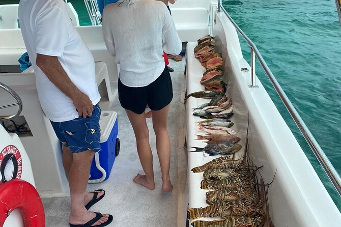 4HR-Halfday Private Fishing Tour in Gracebay - Key Points You’ll Care About