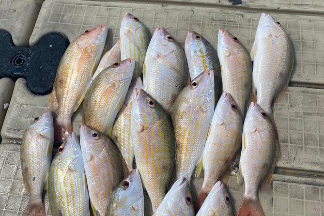 4HR-Halfday Private Fishing Tour in Gracebay - Why This Half-Day Private Trip Works So Well on Grace Bay
