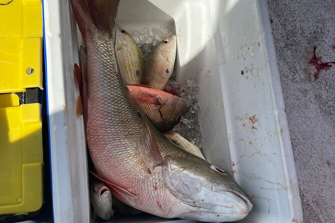 4HR-Halfday Private Fishing Tour in Gracebay - Price and Value: What $1,680 Means for Your Group