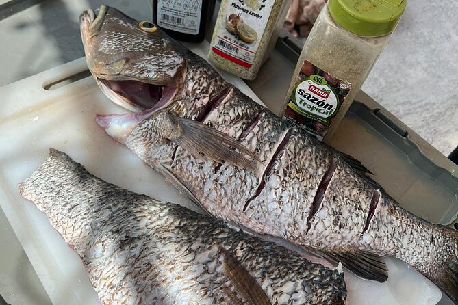 4HR-Halfday Private Fishing Tour in Gracebay - Weather Matters More Than Your Outfit
