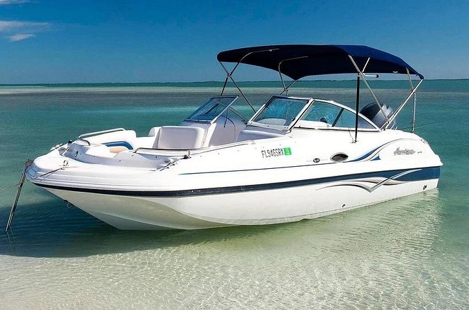 4HR Private bottom Fishing Charter with lunch - Snorkeling with sea scooters: fun for most skill levels