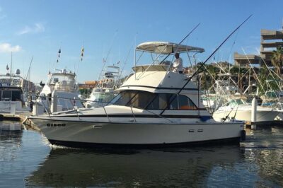 5-Hours Private Fishing Experience in Cruiser in Cabo San Lucas - El Arco Stop: A Landmark Moment With Real Timing