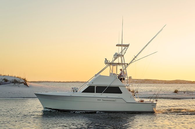 6 Hour Family Fun Fishing Charter on a 42’ Sportfish ,Alibi - Key highlights to know before you go