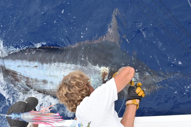 6 Hour Fishing Charter - Key highlights to know before you book