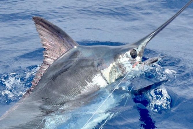6 Hour Fishing Charter - A private 6-hour charter that lets you steer the whole day