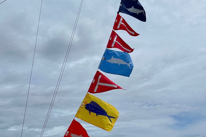 6 Hour Fishing Charter - Pick your target first: marlin bucket lists or kid-friendly fishing