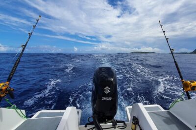 A Day of Big Game Fishing in a small group - Choose your fishing style: trolling, jig, surface, and deep