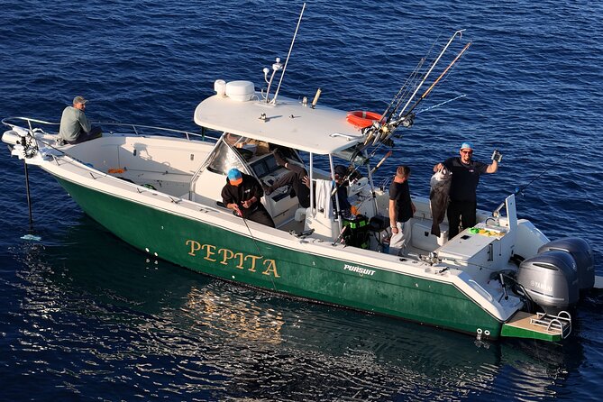 A full day fishing in Sicily - Gear and technique: rods, bait, and a real skipper plan