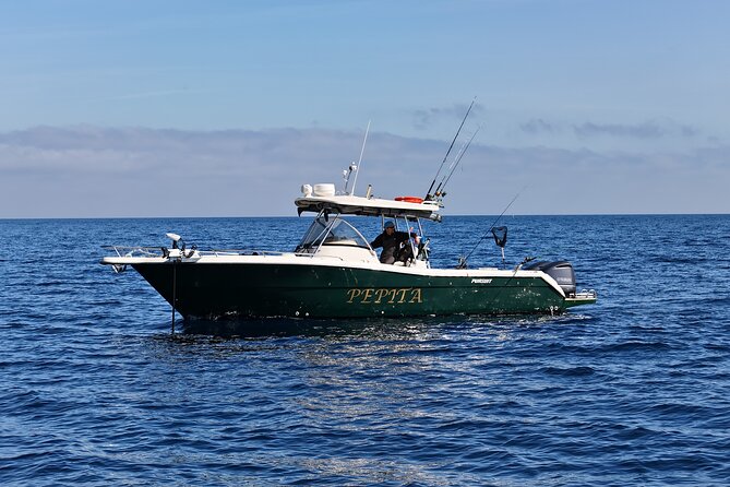 A full day fishing in Sicily - Wildlife moments: good sport, good respect