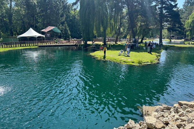 A Relaxing Day of Fishing and Fresh BBQ - Silverbrook Farm and Castaway Pond: your trout set-up