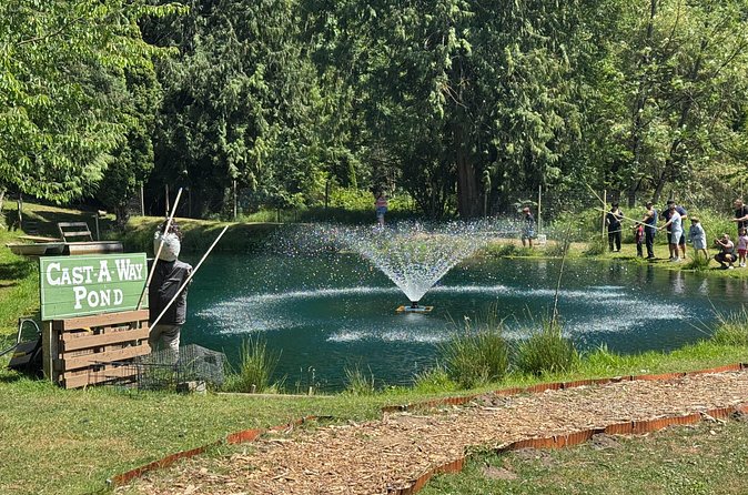 A Relaxing Day of Fishing and Fresh BBQ - BBQ on-site: turning your trout into a simple meal