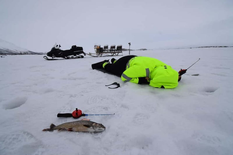Abisko: Ice Fishing Experience - Key highlights to look for