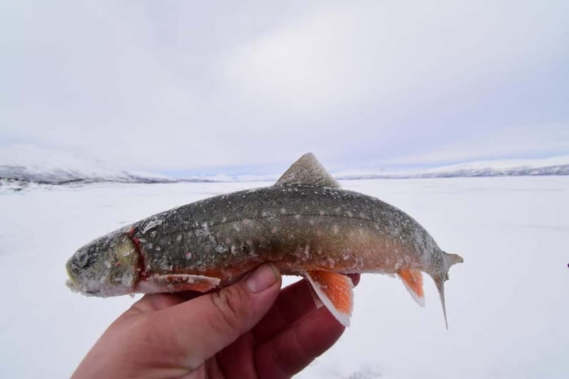 Abisko: Ice Fishing Experience - FAQ