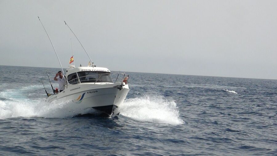 Adeje: 3.5–Hour Professional Fishing Experience - The 3.5 hours at sea: what the flow feels like